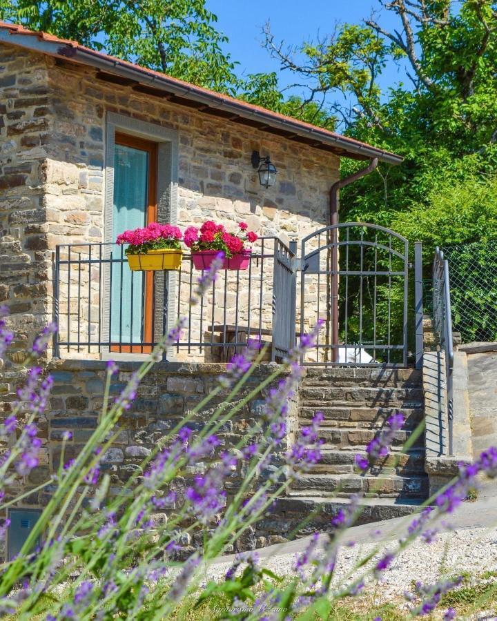 Agriturismo Vezzano Chiusi della Verna Exterior foto